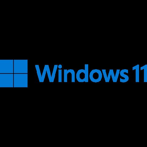 Windows  11 Installation